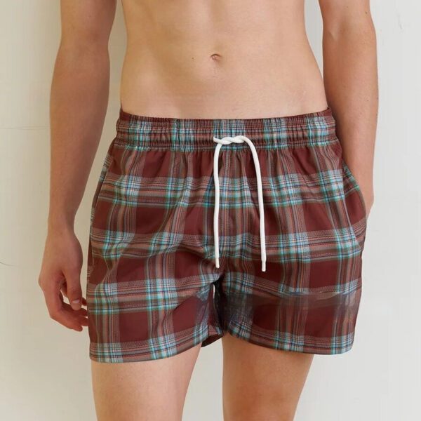 New Couple Swimwear Japanese Style Plaid Vacation Swimsuit Men's Beach Pants - Image 4